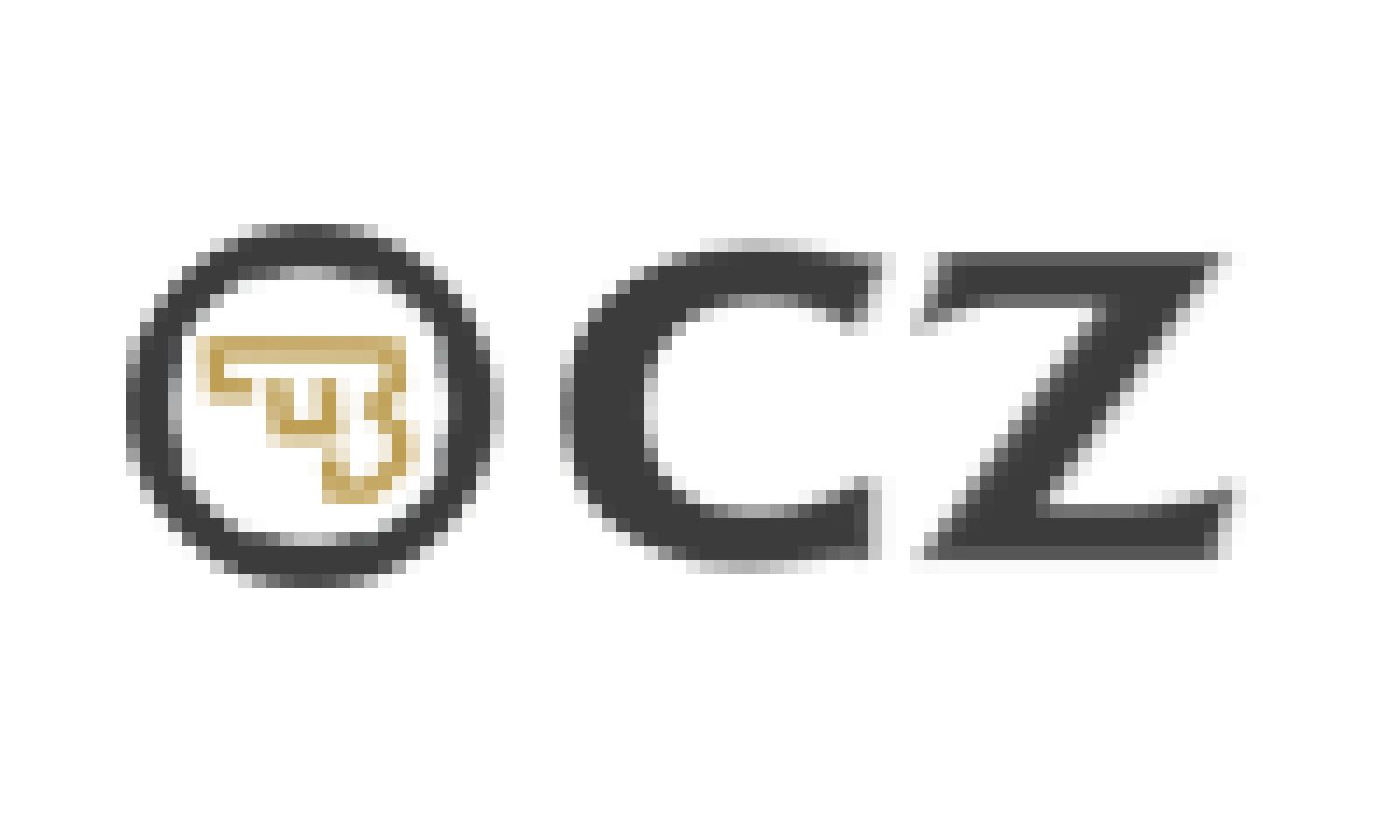 ASG CZ75 P07 Duty Siyah CO2 NBB Airsoft Tabanca - Görsel 8