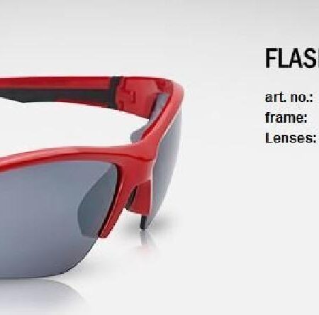 Swisseye 12243 Flash Gözlük (Çift Cam)