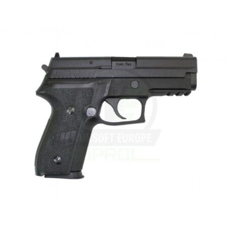WE F229 RAIL GBB Airsoft Tabanca